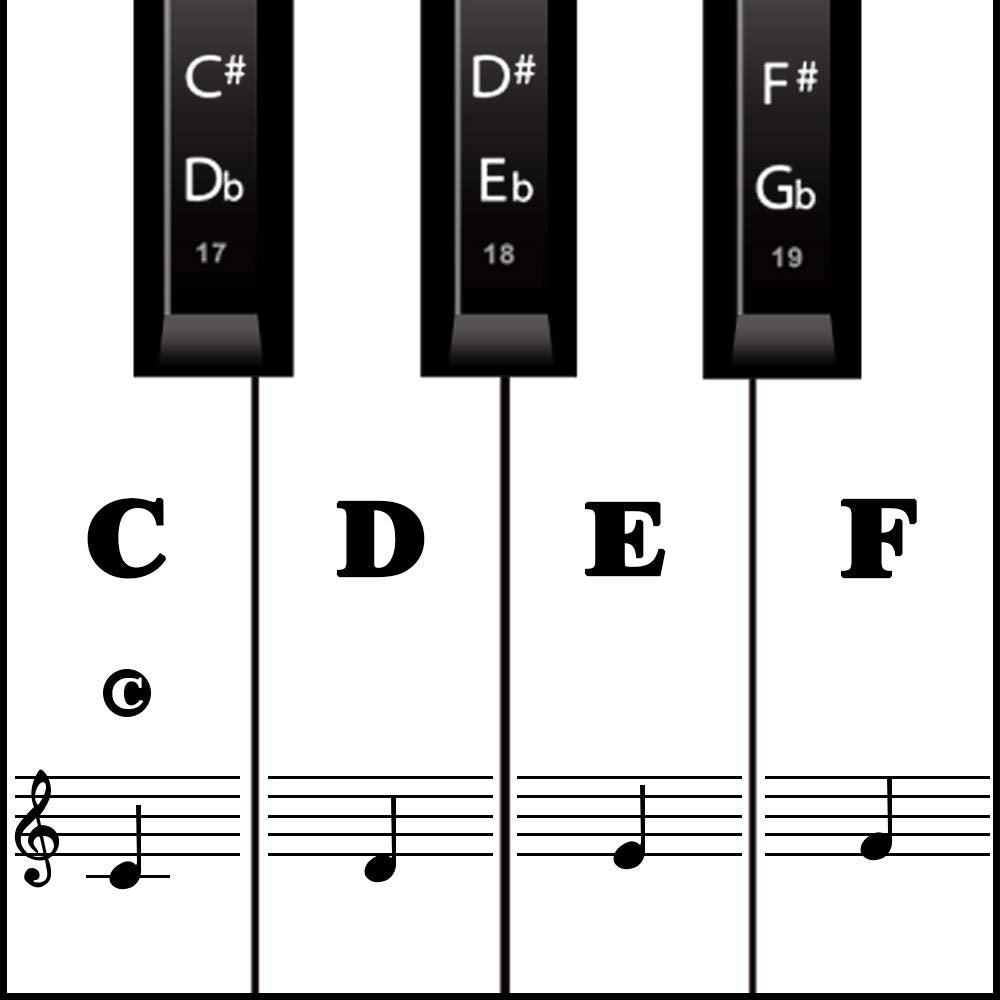 Piano Keyboard Stickers For 88/61/ 54/49 Key, Black Transparent Removable For Kids Beginners (Black)
