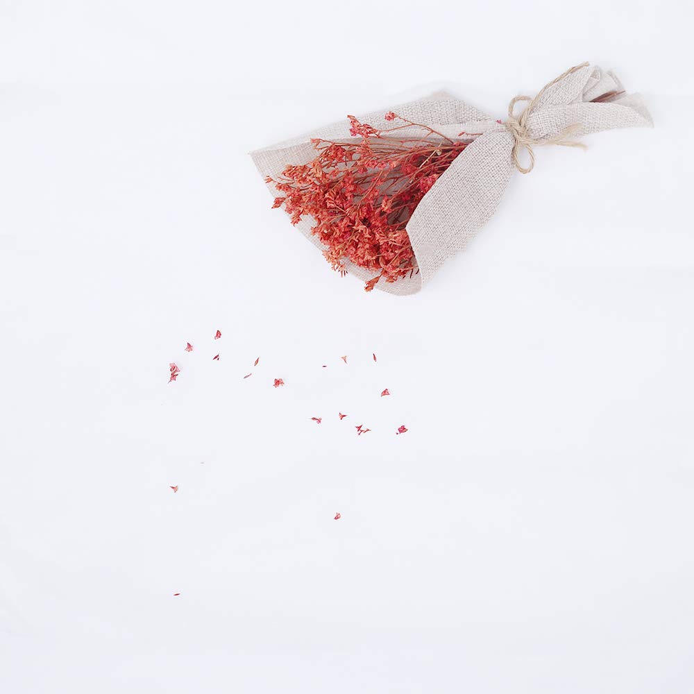 Lylycty 5X7Ft [Backdrop] White Screen Key Soft Pure White Studio Photography Background Id Photo, Customized Props Ly164