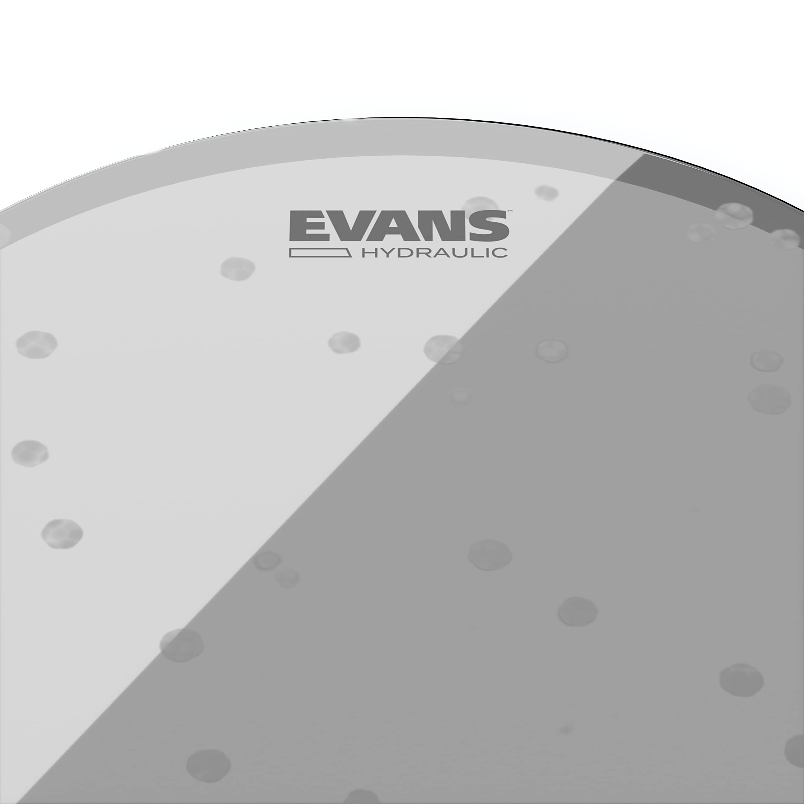 Evans Drum Heads   Hydraulic Glass Tom Drumhead, 8 Inch