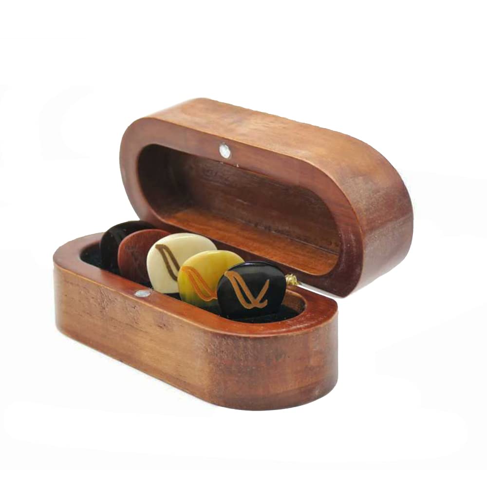 Wambooka Handcrafted Guitar Picks Set  Premium Bone, Horn, Wood & Coconut Guitar Picks With Anatomical Grip  Unique Handmade G