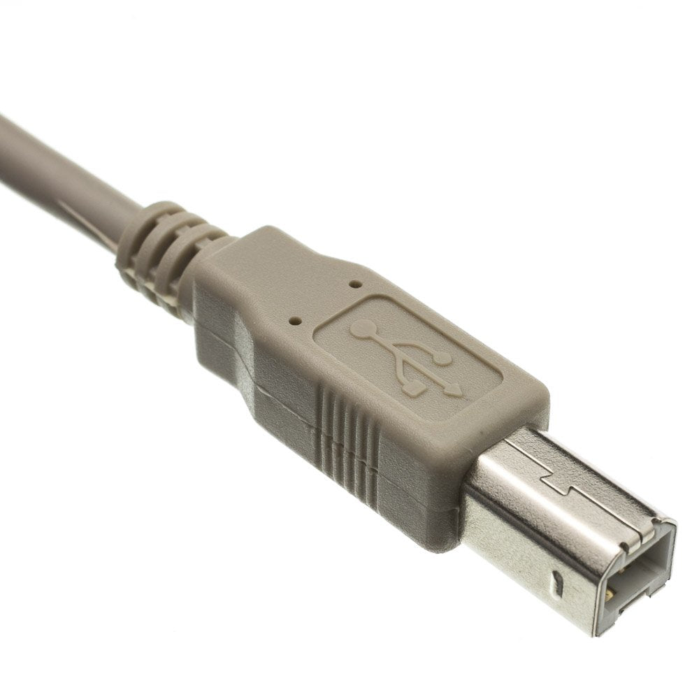 Cablewholesale 10 Feet Usb 2.0 Printer/Device Cable, Beige, Type A Male/Type B Male Plug, A Male To B Male High Speed Usb Cable,