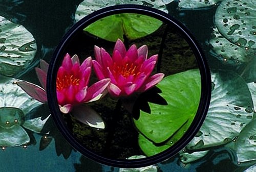 Heliopan 52Mm Circular Polarizer Filter (705241) With Specialty Schott Glass In Floating Brass Ring