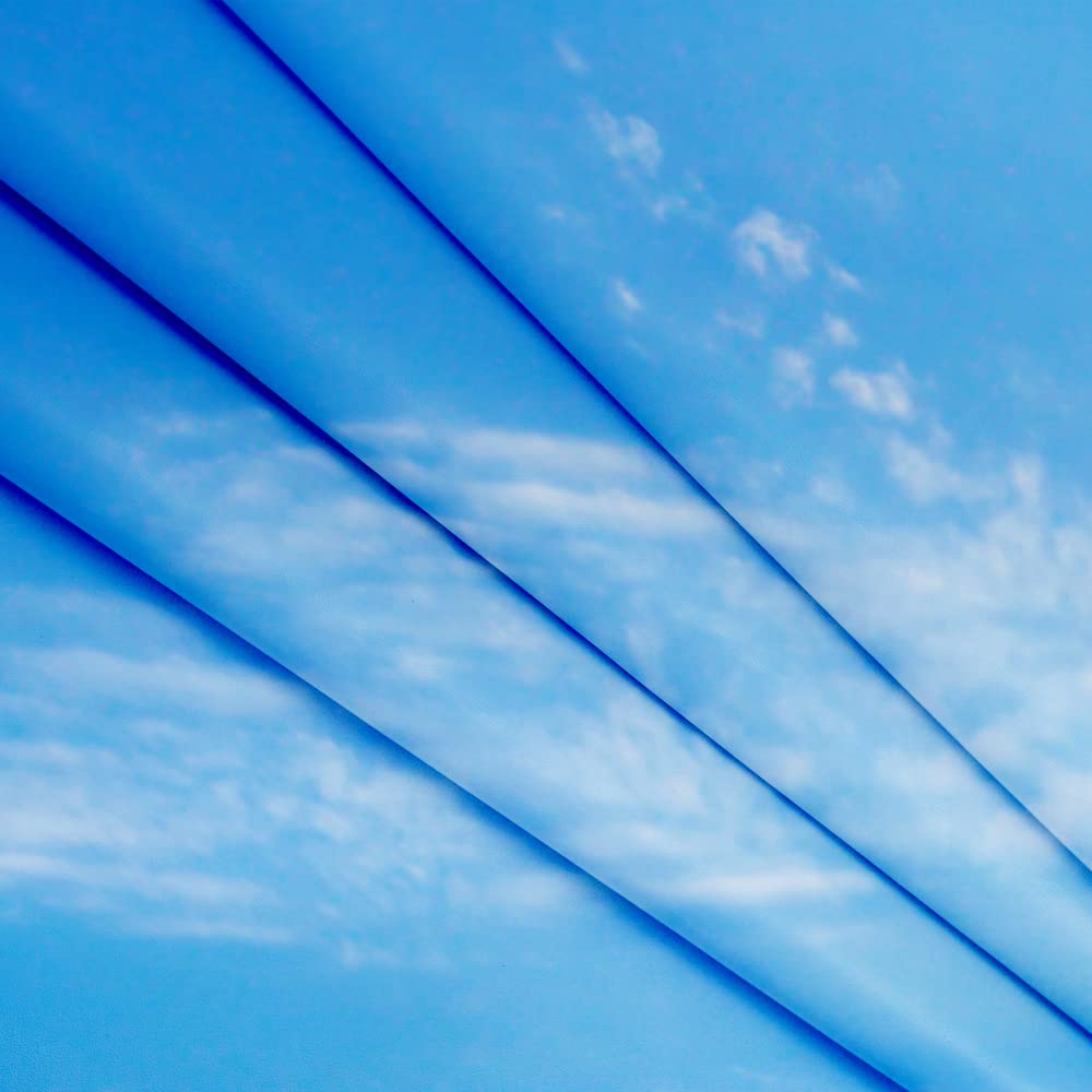 Dephoto Tropical Seaside Beach Ocean Backdrop Summer Hawaii Island Photography Background Boys Girls Portrait Holiday Party Bann