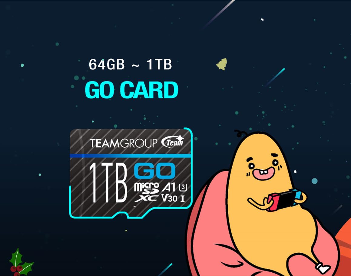 Teamgroup Go Card 128Gb X 5 Pack Micro Sdxc Uhs I U3 V30 4K For Gopro & Drone & Action Cameras High Speed Flash Memory Card With Adapter For Outdoor Sports, 4K Shooting, Nintendo Switch Tgusdx128Gu363