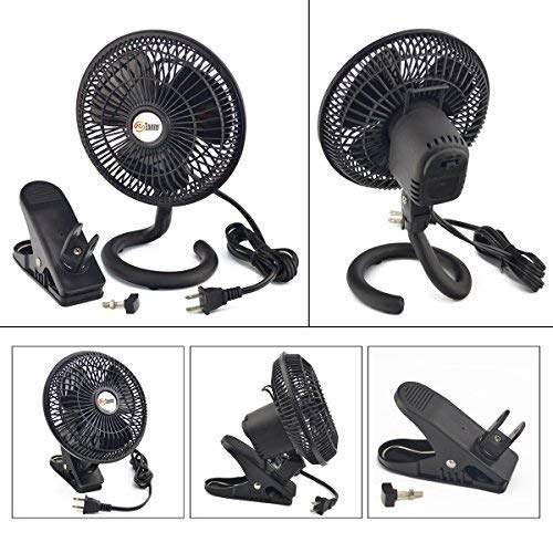 Tn Tonny Clip On Fan, Ac 110V 6 Inch Adjustable Clip Table Fan With 2 Speeds Wind, Personal Cooling Fan With 6 Foot Cord And Pla