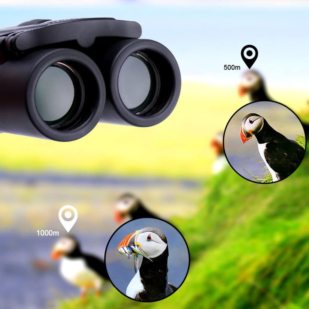 Odluhao Hd Powerful Binoculars 5000M Long Range Folding Mini Telescope Professional Hunting Zoom Military Bak4 Fmc Optics For Sp