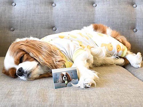 Zink Polaroid 2X3, Premium Photo Paper (50 Pack) Compatible With Polaroid Mint Camera, Snap/Snap Touch Instant Print Cameras And Zip Photo Printers