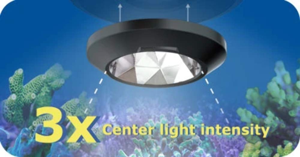 Kessil A360X Narrow Reflector