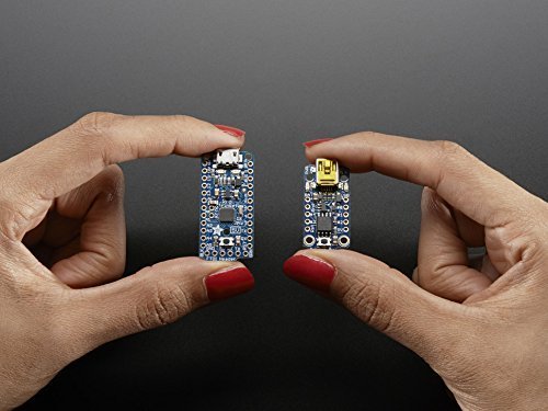 Adafruit Pro Trinket   3V 12Mhz