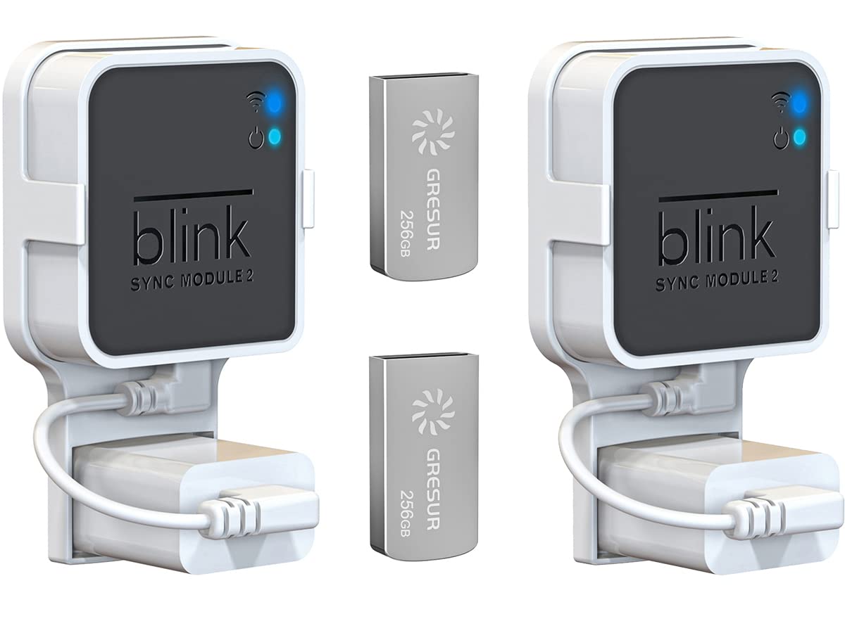 256Gb Blink Usb Flash Drive For Local Video Storage With The Blink Sync Module 2 Mount (Blink Add On Sync Module 2 Is Not Included),2Pack