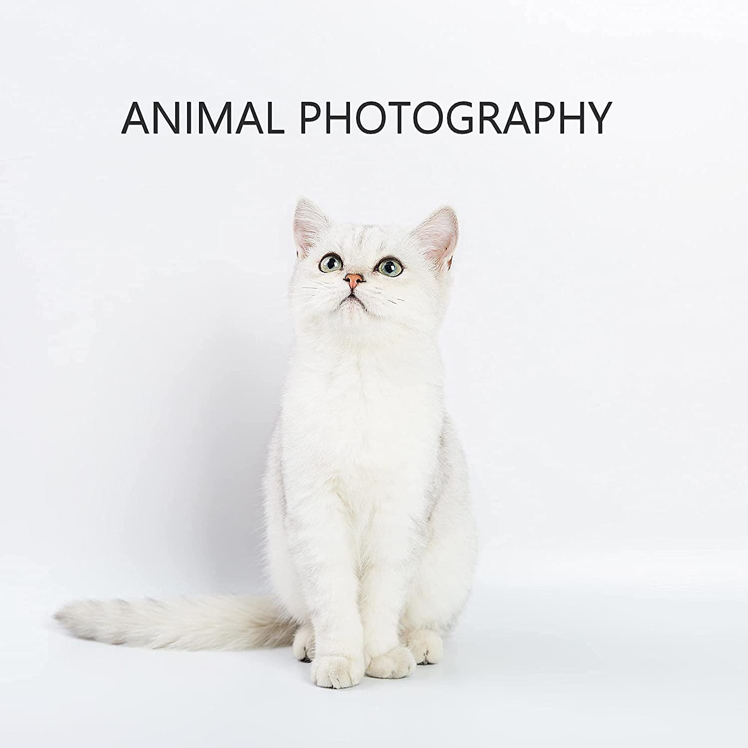 Meking 31X59 Inches (80X150Cm) White Pvc Matte Backdrop Photography Background For Portrait Photo Shoot Studio Portrait, Product