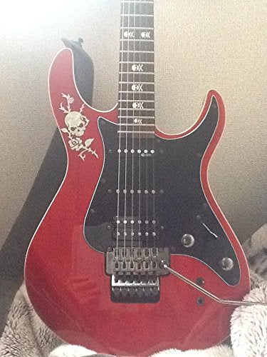 Inlaystickers Sticker/Decal (B 135Rs Wt)