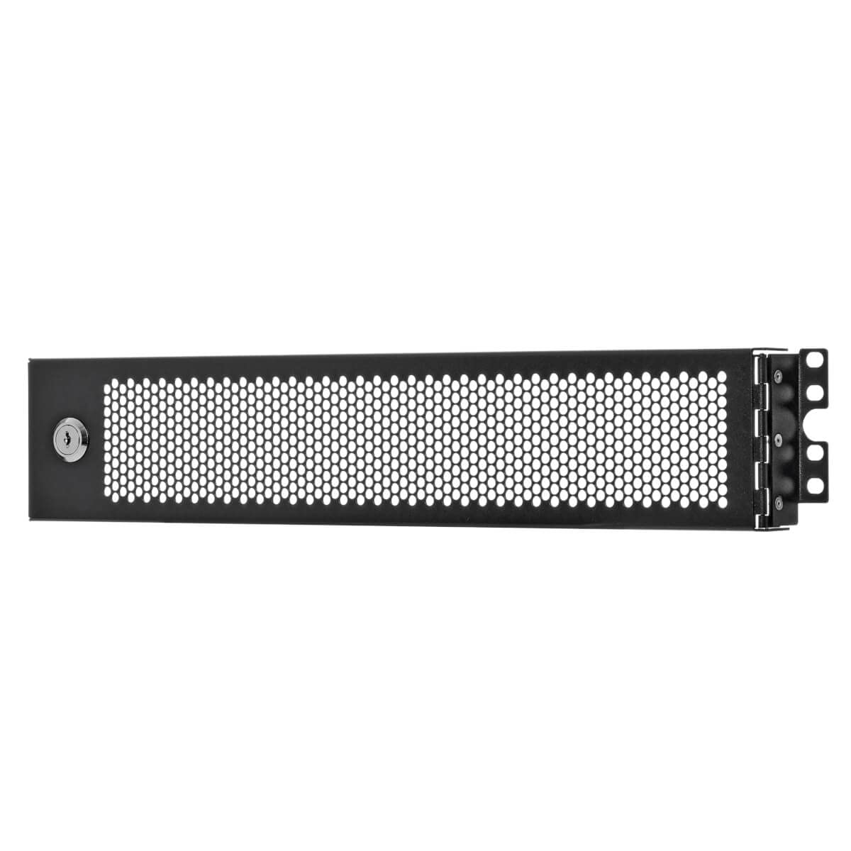Tripp Lite 2U Security Door Cage Rack Mount for Front Facing Network Equipment, Secure Locking Key Hinged Door, Cooling Friendly