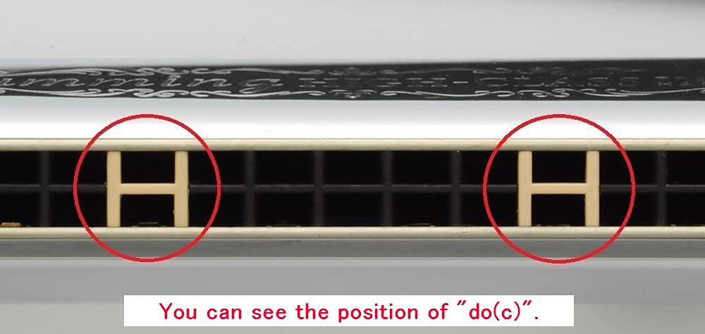 Other Harmonica, Multi Coloured (Su 21H D)