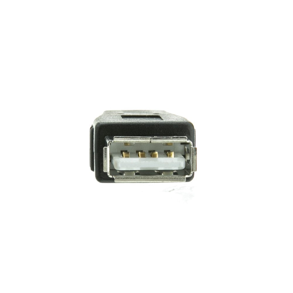 Cablewholesale Usb A Female To Usb Mini-B 5 Pin Male Adapter