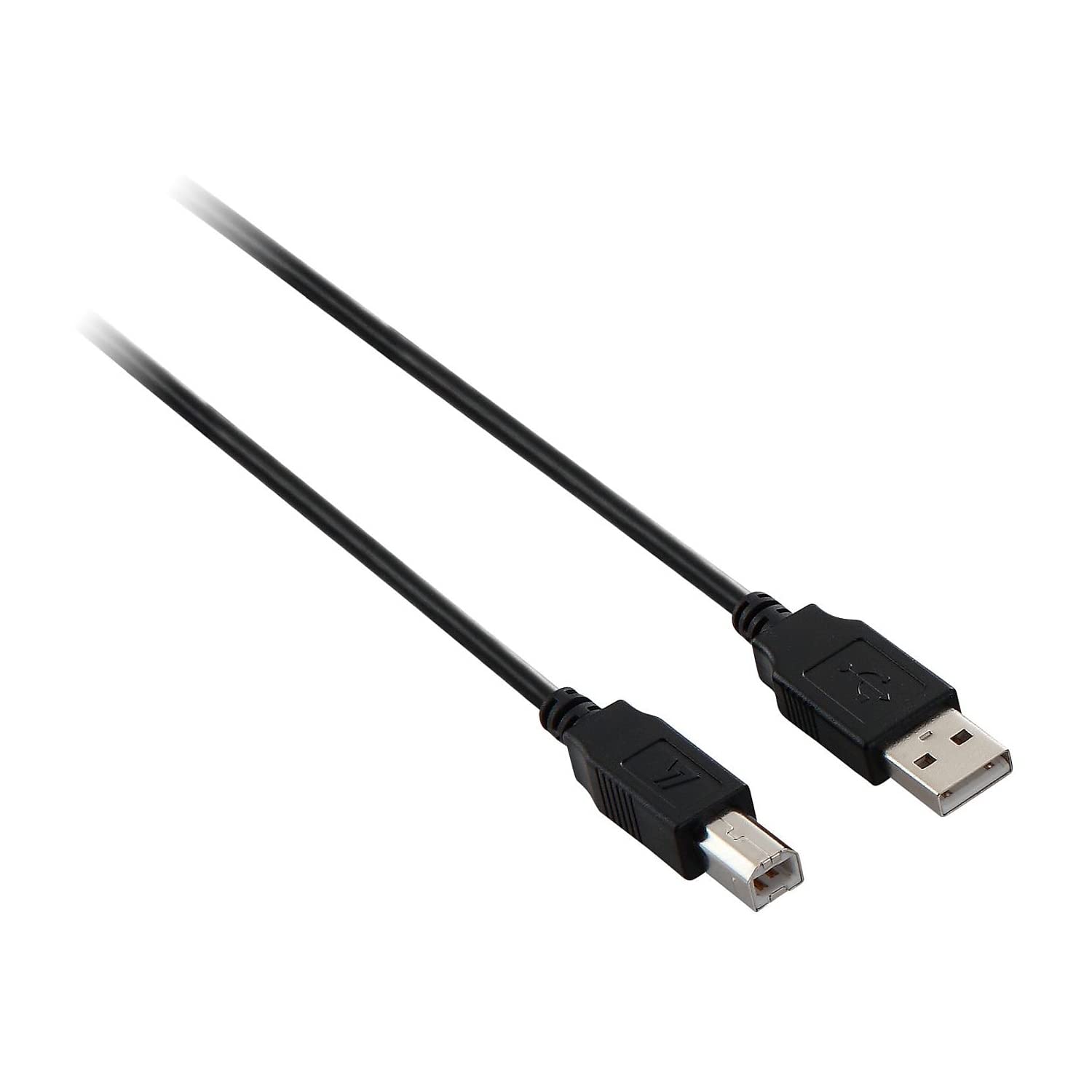 V7 High Speed Usb 2.0 Device Cable   6 Feet   A Male To B Male For Connecting Pc To Digital Cameras, Printers, Scanners, Externa