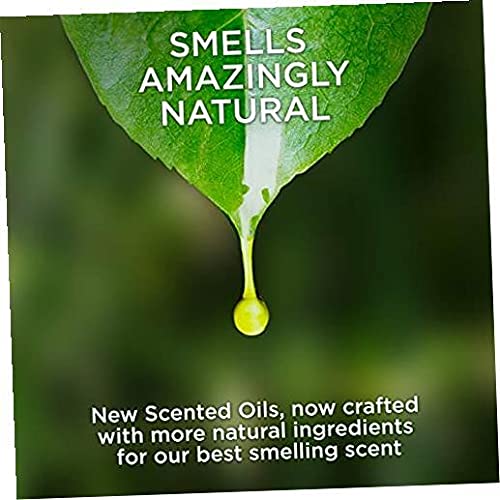 Air Wick Plug In Scented Oil Refill, 5 Ct, Blue Agave And Bamboo, Air Freshener, Essential Oils