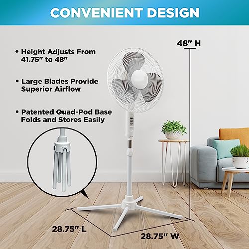 Ez Chill 16    Oscillating Pedestal Fan, 3 Speed Options, 90 Degree Oscillating Head, Adjustable Height And Tilt, Powerful Air F
