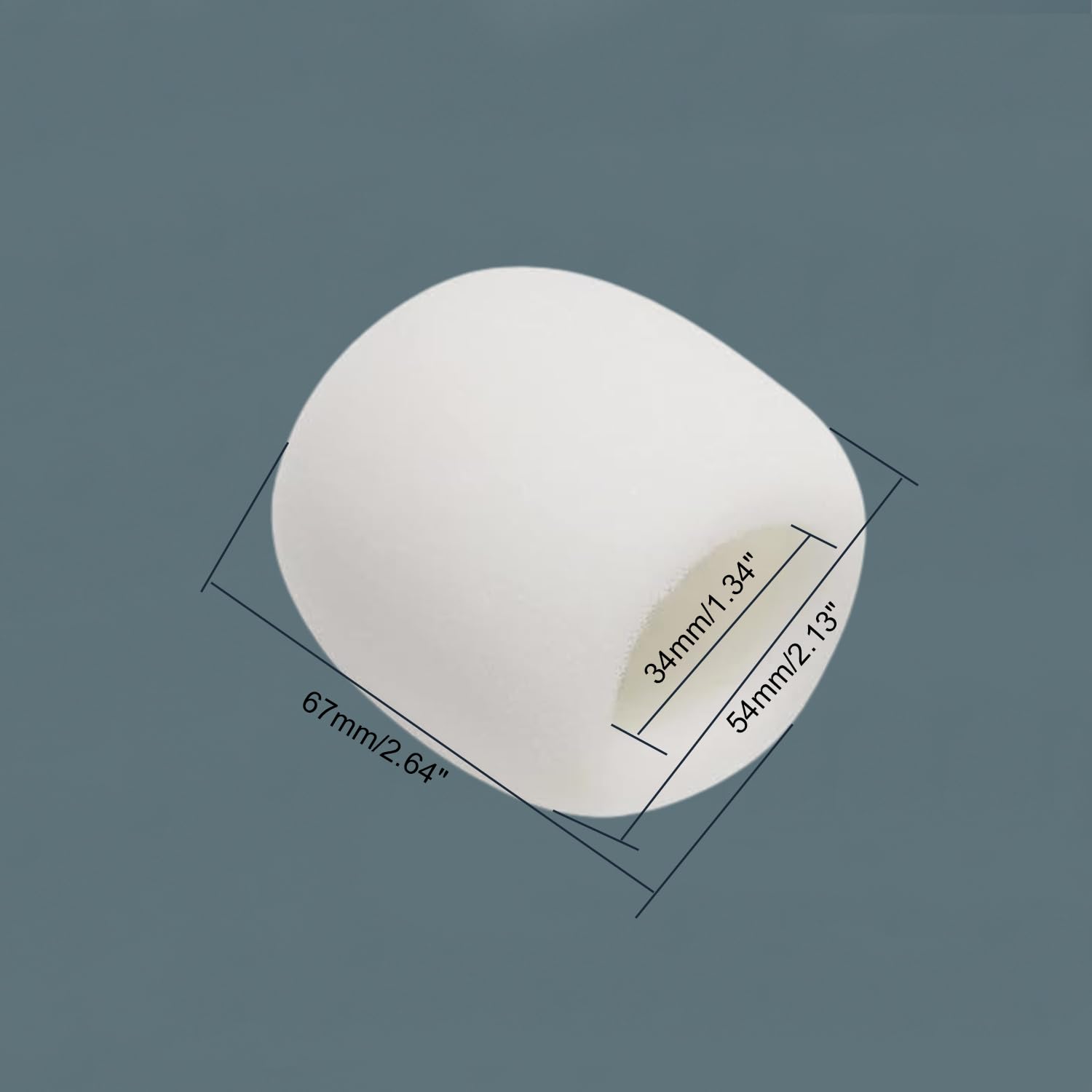 Fielect Microphone Cover Sponge Foam Mic Cover Handheld Microphone Windscreen Shield Protection Mic Foam Filter Cover White For