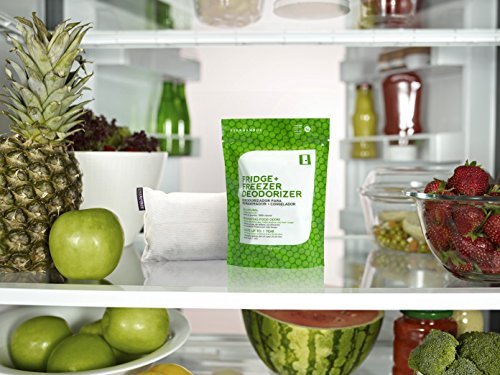 Ever Bamboo Fridge & Freezer Deodorizer W/All Natural Bamboo Charcoal. Are Your Leftovers Becoming Leftodors?