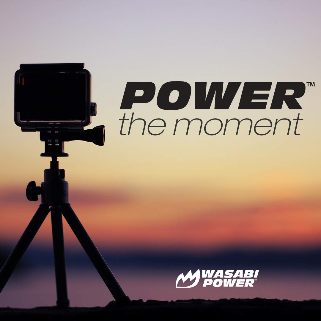 Wasabi Power Battery (2 Pack, 1200Mah) And Triple Usb Charger For Gopro Hero3, Hero3+