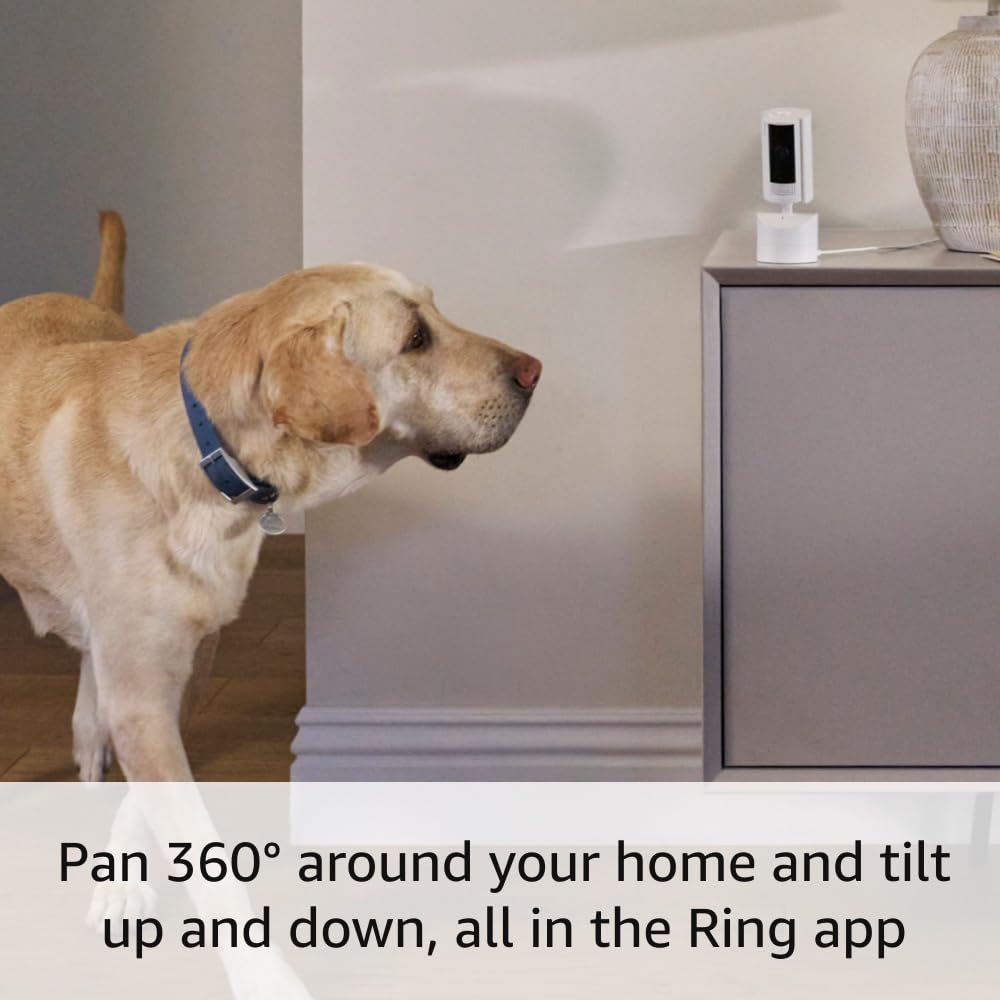 Introducing Ring Pan-Tilt Indoor Cam | See All Around With 360 Pan Coverage, Hd Video, Plus Two-Way Talk (2024 Release) | White