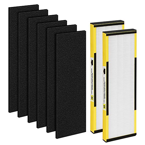 Fmdzfl 2 Packs Flt4825 Hepa Replacement Filter B Compatible With Ac4825 Ac4300 Ac4800 Ac4900 Ac4850, 2 True Hepa Filters & 6 Act