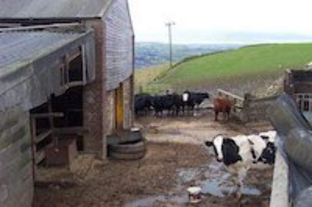 Froggys Fog - Scented Cologne Spray (1 oz. Barnyard)