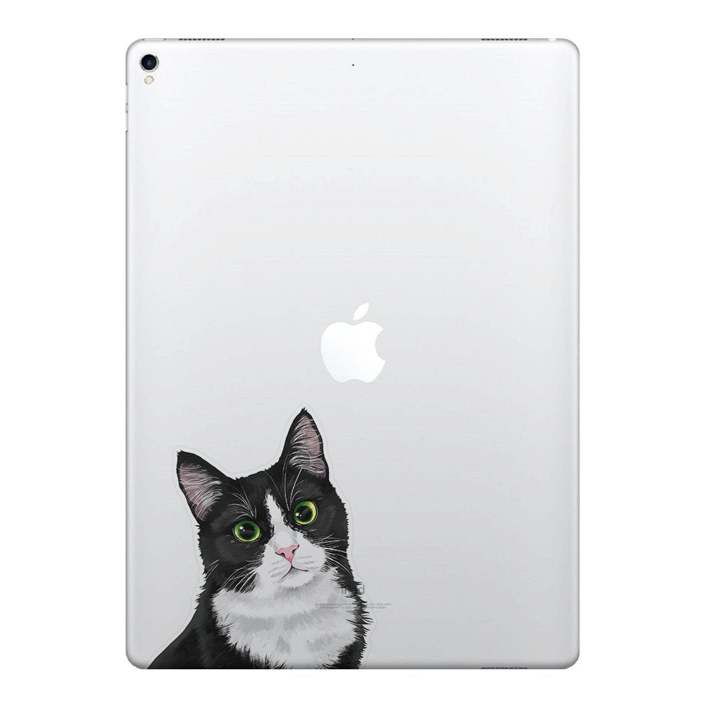 Fincibo 5 X 5 Inch Cute Black White Tuxedo Cat Removable Vinyl Decal Stickers For Ipad Macbook Laptop (Or Any Flat Surface)