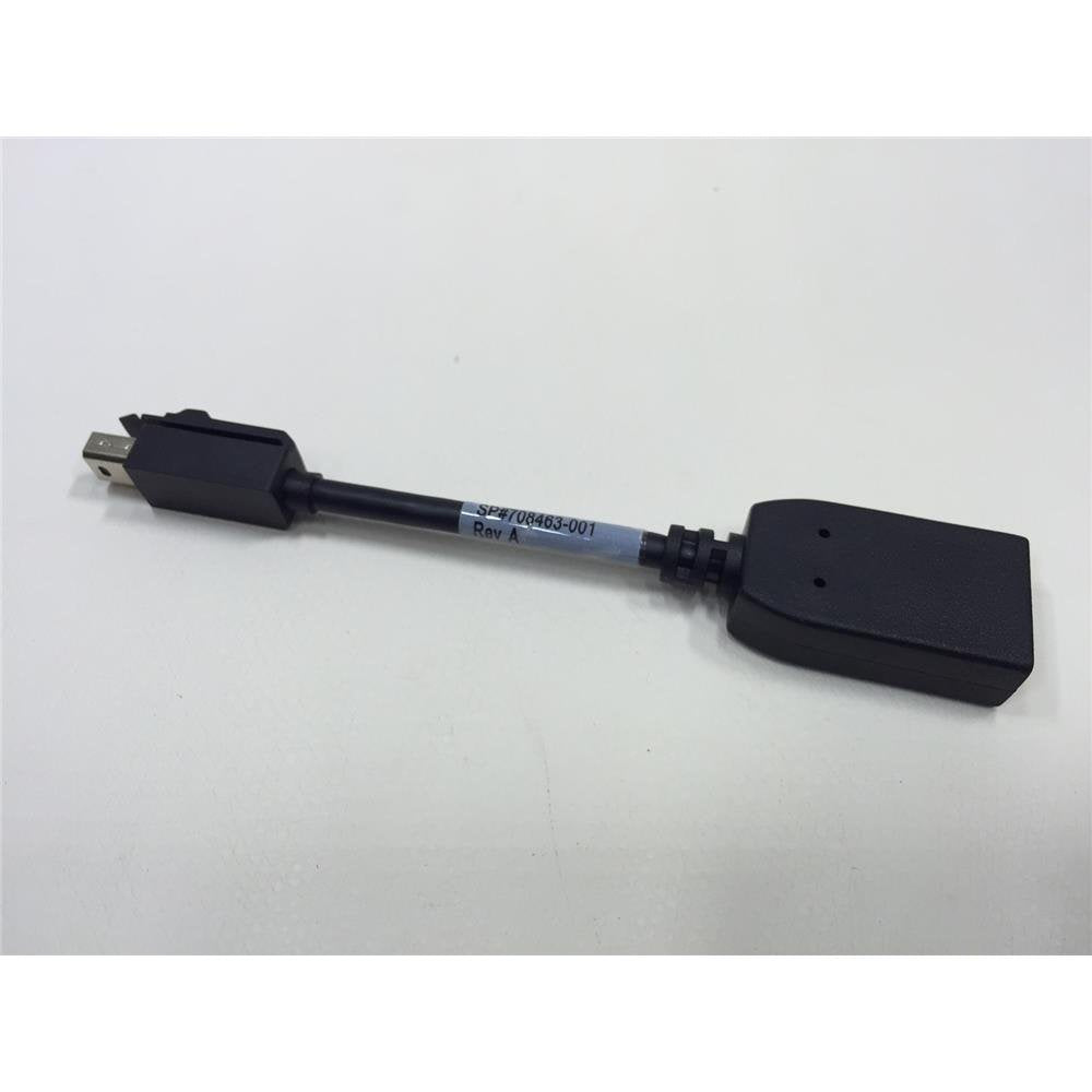 Hp Mini Displayport To Displayport Male Adapter, 703216 001 (Displayport Male Adapter Cable)