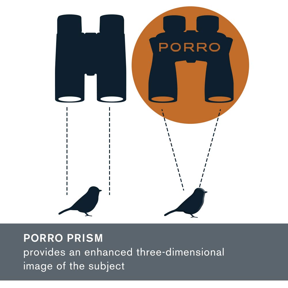 Celestron   Ultima 8X42 Binoculars   Waterproof & Fogproof   Porro Prism Binoculars For Adults   Fully Multi Coated Optics And B