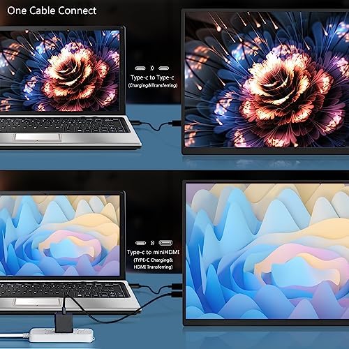 Portable Monitor 18.5 Inch 120 Hz 1080P 100% Srgb Fhd Hdr Usb Hdmi With Vesa Ultra Slim Portable Laptop Office Game Monitor,For