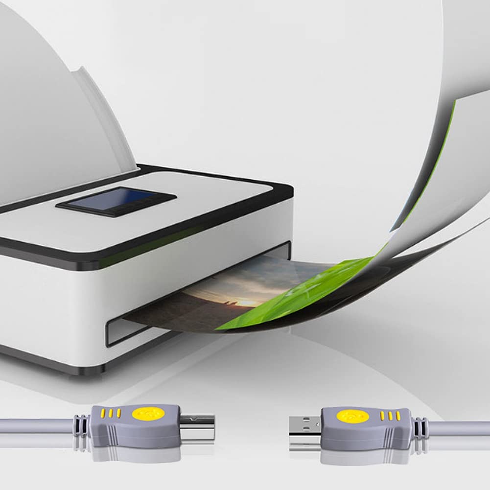 Qjin Usb 2.0 Printer Cable For Canon Pixma Mg3620, Epson Ecotank Et 2800 Et 2850 Et 4800, Hp Deskjet 2723E, Brother, 10 Feet