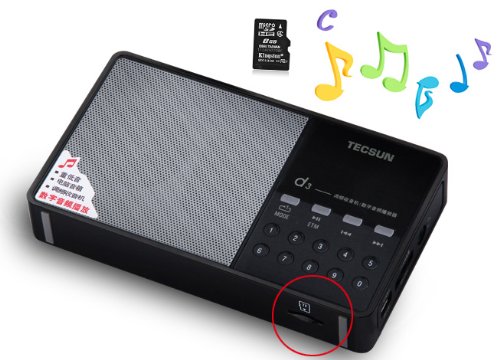 TECSUN D3 Rechargeable FM Radio, Black Portable Hi-Fi Speaker, MP3 Player with Micro SD Slot, DSP Bass for Desktop & Laptop