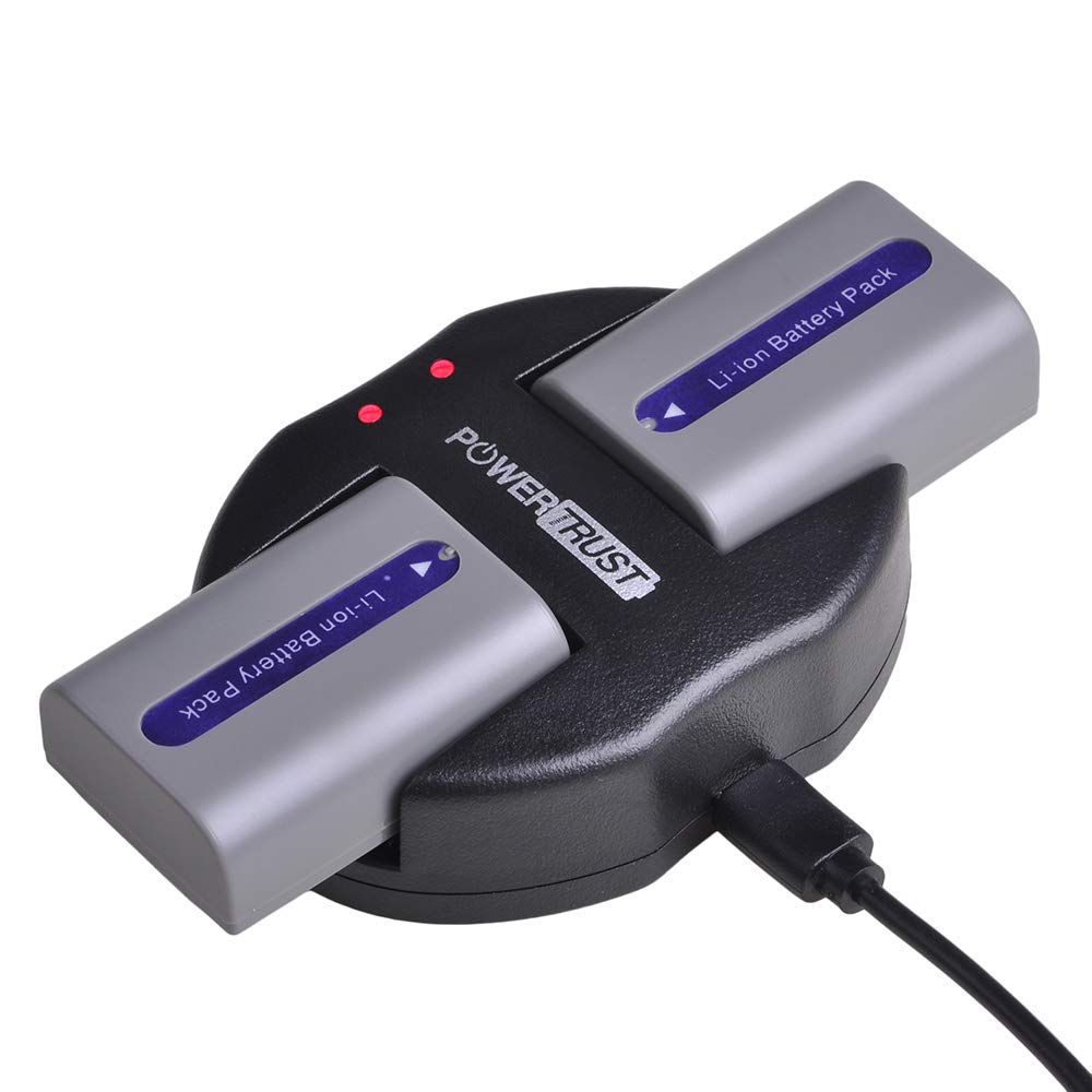Powertrust 2 Pack Np Fp50 Battery And Dual Charger For Np Fp30,Np Fp50,Np Fp60,Np Fp70,Np Fp90,Np Fp51,Np Fp71,Np Fp91 Series Dc