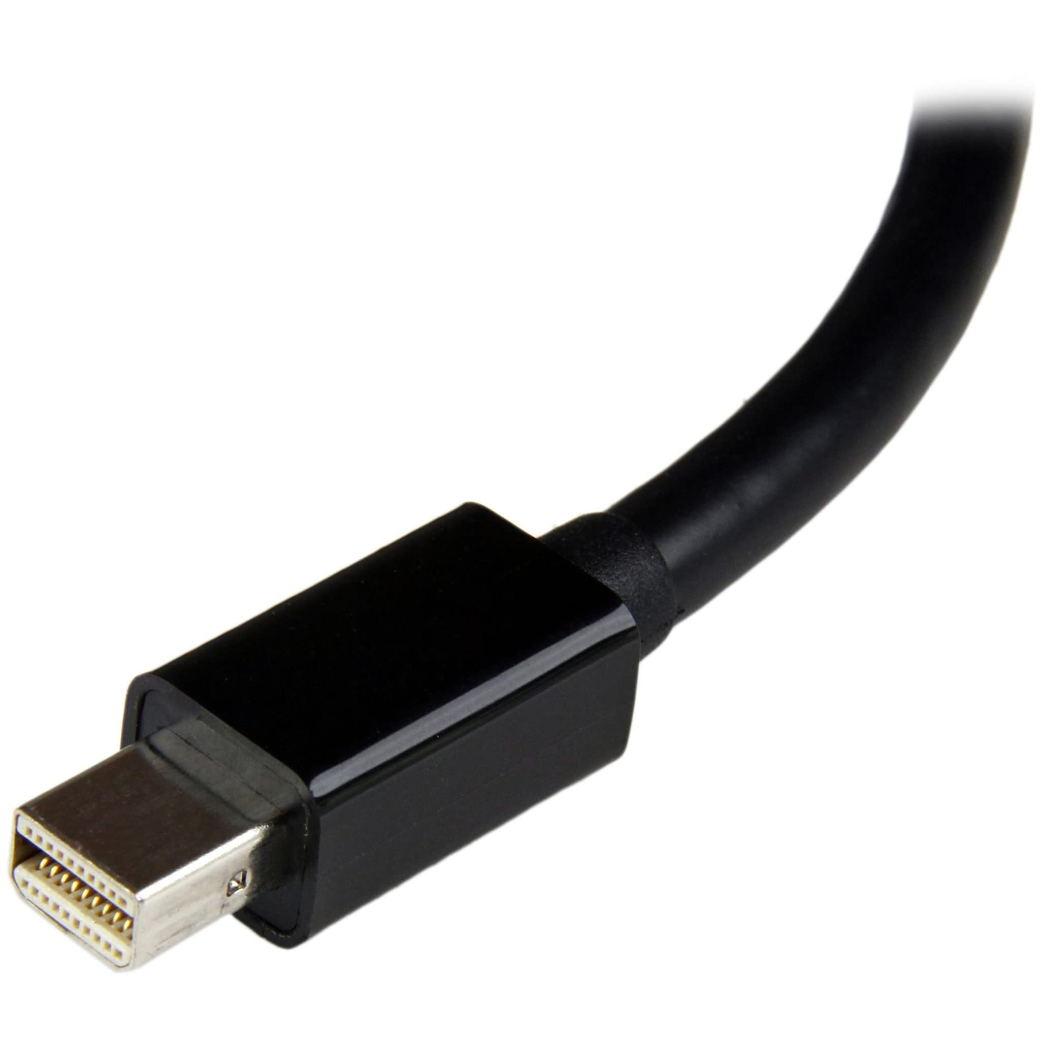 Startech.Com Mini Displayport To Dvi Adapter   Mini Dp To Dvi D Converter   1080P Video   Mdp Or Thunderbolt 1/2 Mac/Pc To Dvi M