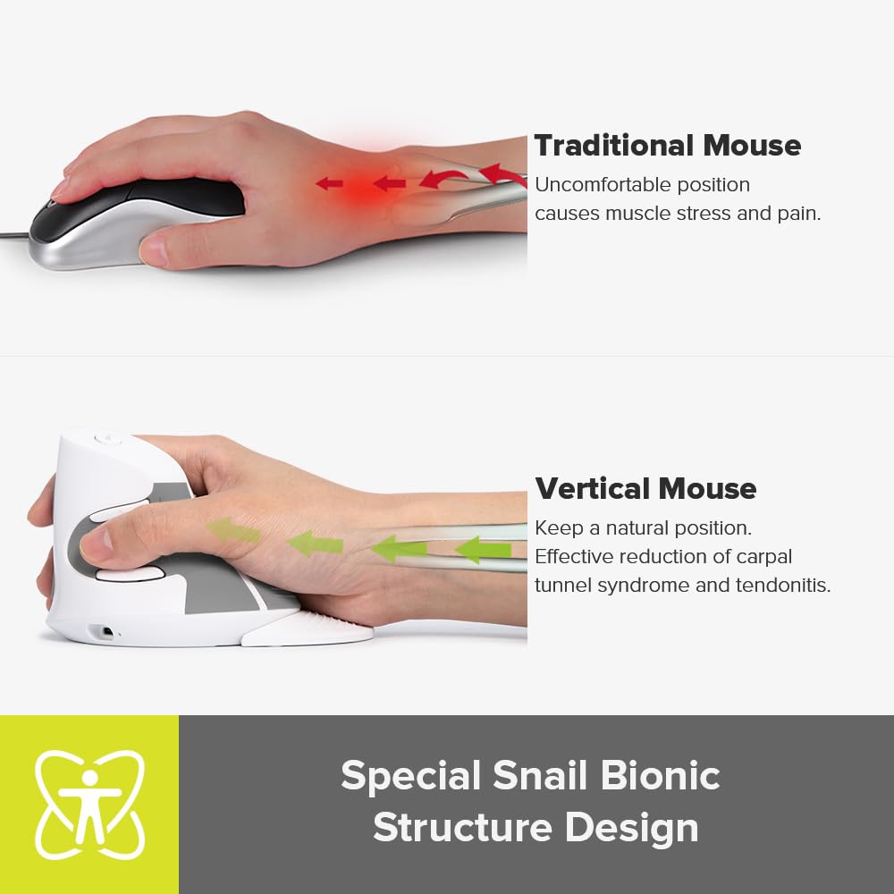 Delux Rechargeable Ergonomic Wireless Mouse Silent, 1600Dpi, Reduce Hand And Wrist Pain, Vertical Mouse With Usb Receiver And Bt