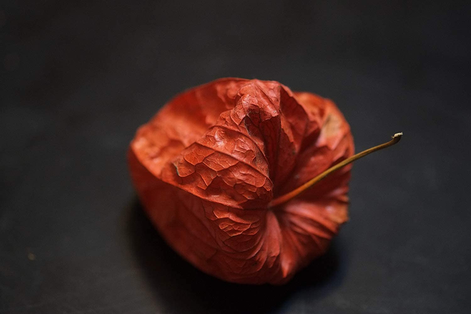 Fujifilm Fujinon Xf60Mmf2.4 R Macro