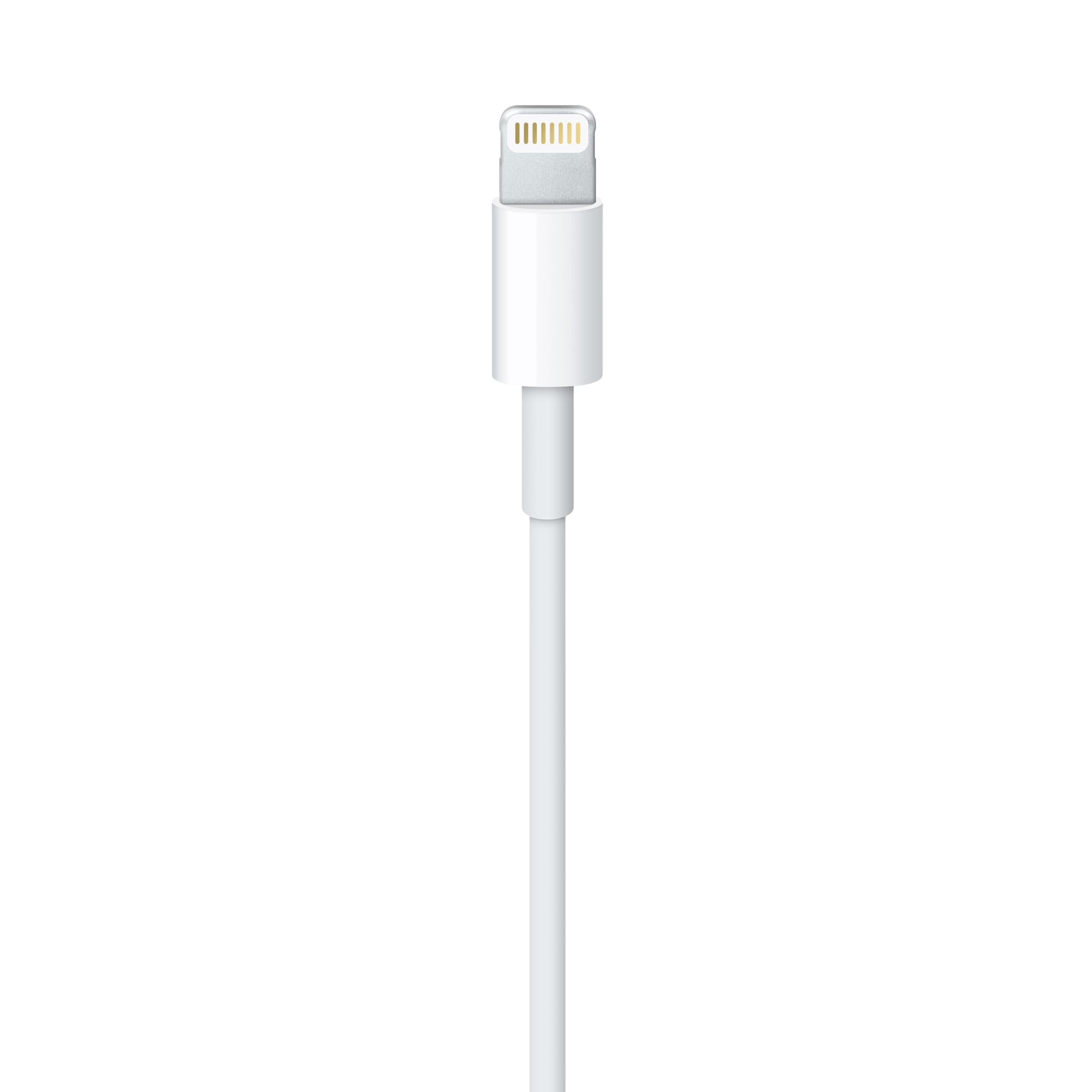 Apple Lightning to USB Cable (1 m) ???????