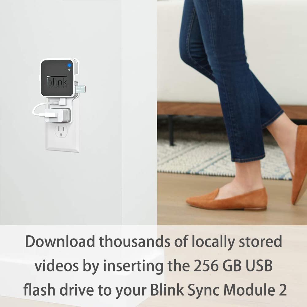 256Gb Blink Usb Flash Drive For Local Video Storage With The Blink Sync Module 2 Mount (Blink Add On Sync Module 2 Itself Is Not Included)