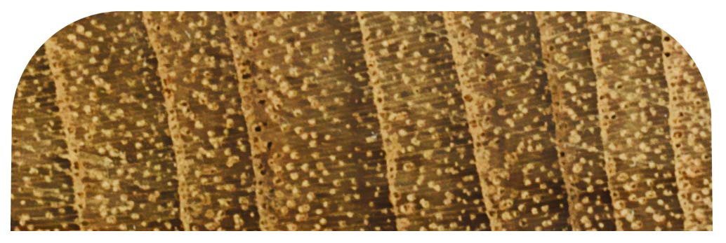 Whitecap Teak Batten - 1-7/16''W,WBHDWB00IEG7SSE