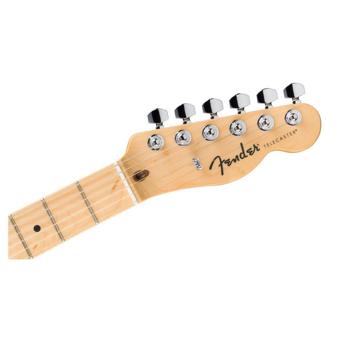 Fender Standard Telecaster Electric Guitar - Butterscotch Blonde