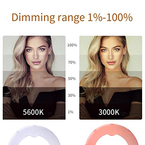 Gskaiwen 18 Inch 65W Led Ring Light Mirror Make Up Beauty Light Studio Video Light Photography Lighting With Stand Bag For Portr