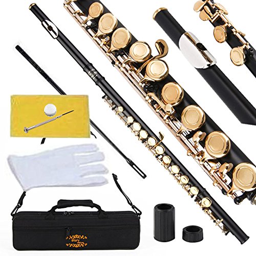 Glory Closed Hole C Flute With Case, Tuning Rod And Cloth,Joint Grease And Gloves Black/Laquer