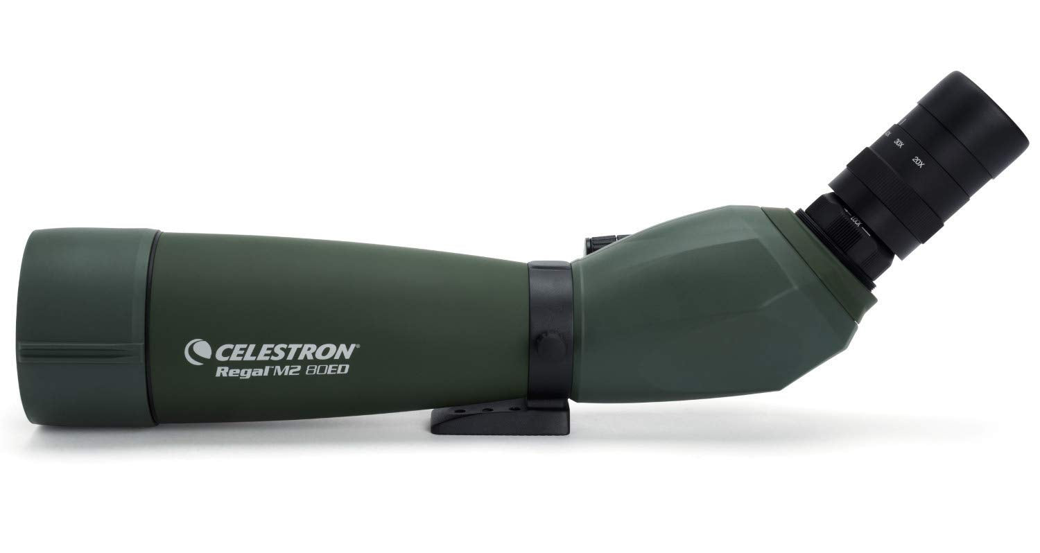 Celestron Regal M2 80Ed Spotting Scope   Fully Multi Coated Optics   Hunting Gear   Ed Objective Lens For Bird Watching, Hunting