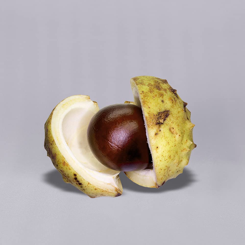 Gfcc Gray Backdrop   8Ftx10Ft Grey Photo Backdrop For Photoshoot Background For Photography Screen Video Recording Picture Backg