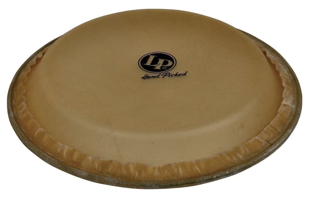 Lp Conga Head (12.5)
