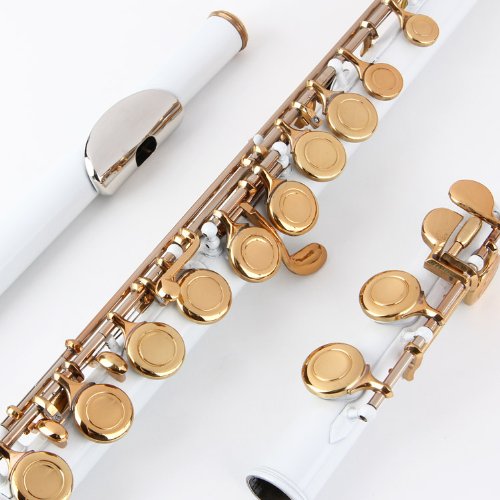 Glory Closed Hole C Flute With Case, Tuning Rod And Cloth,Joint Grease And Gloves White/Laquer