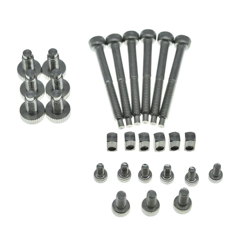 Kaish Whole Set Stainless Steel Tremolo Fine Tuner Screws String Insert Block Saddle Mounting Screws Locking Nut & String Lock S