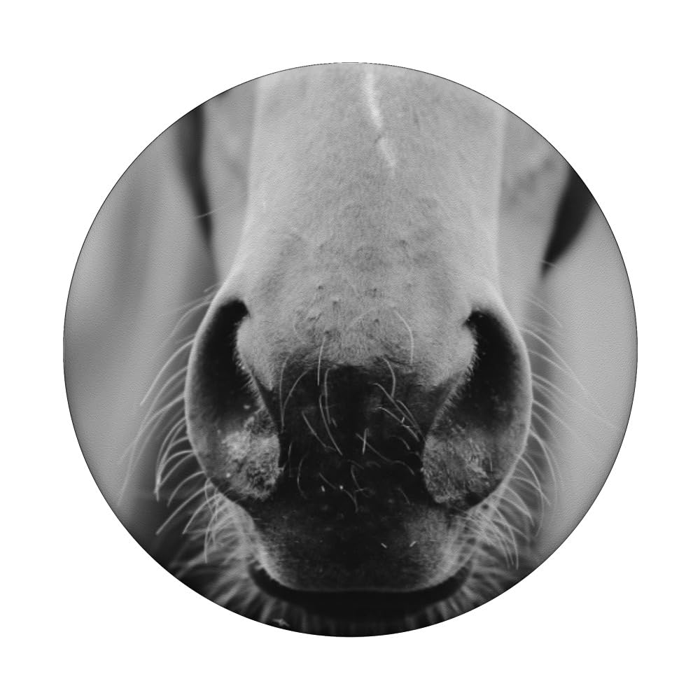 Horse Popsockets Popgrip: Swappable Grip For Phones & Tablets Popsockets Adhesive Popgrip